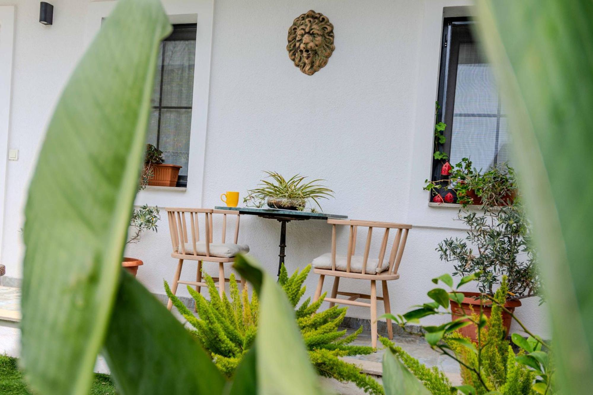 Bed and Breakfast Arden'S House Bodrum Exteriér fotografie